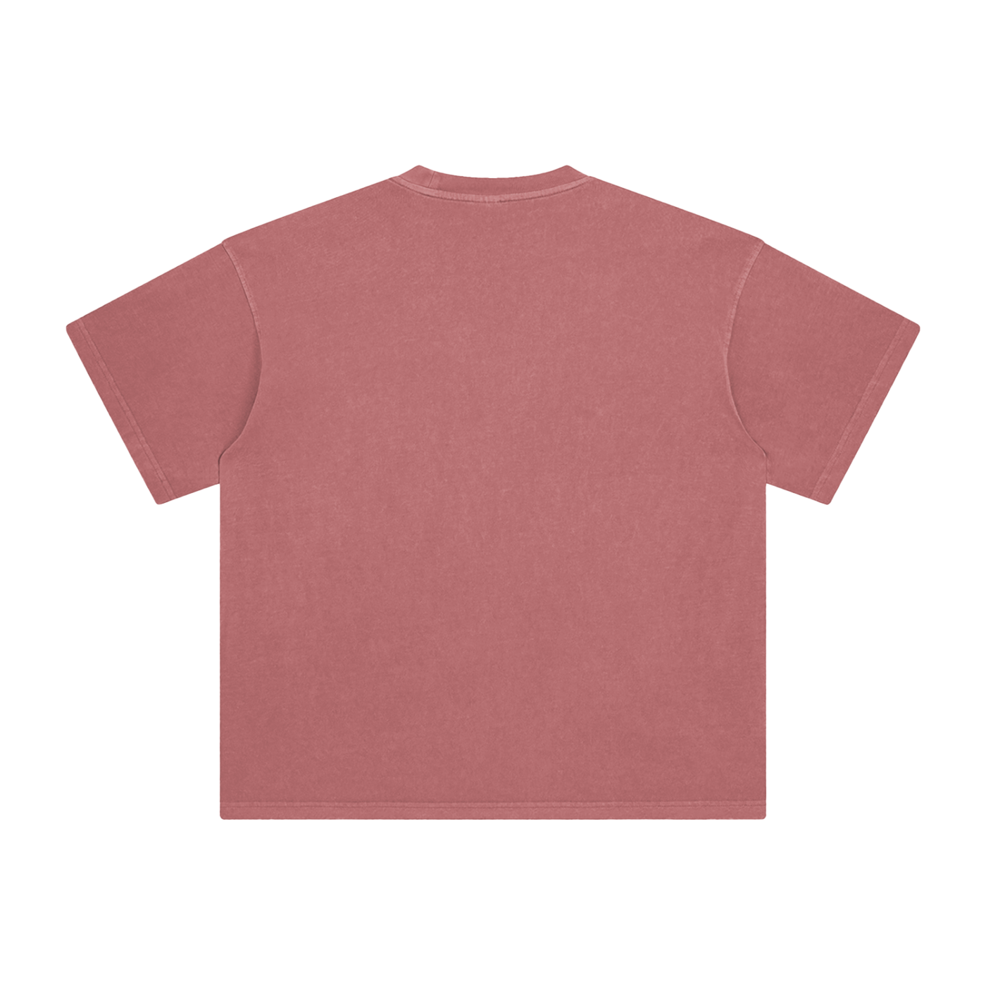 T-Shirt Washed — Style Terrain