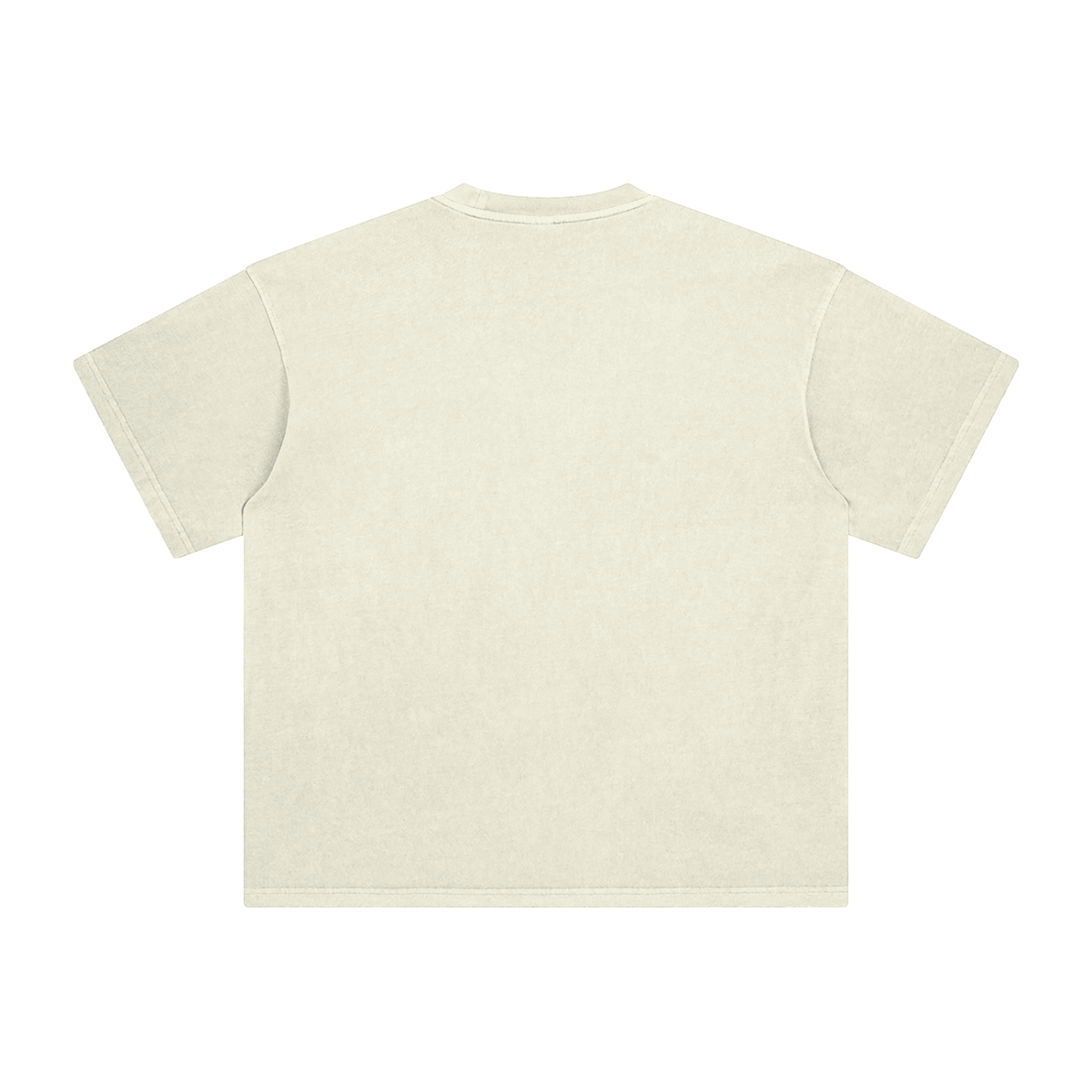T-Shirt Washed — Style Terrain