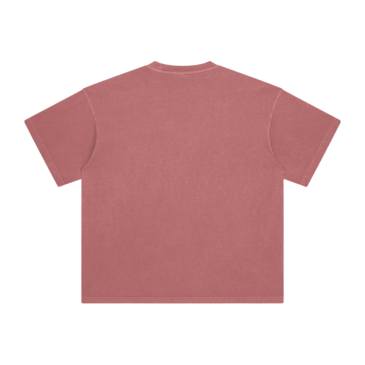 T-Shirt Washed — Style Terrain